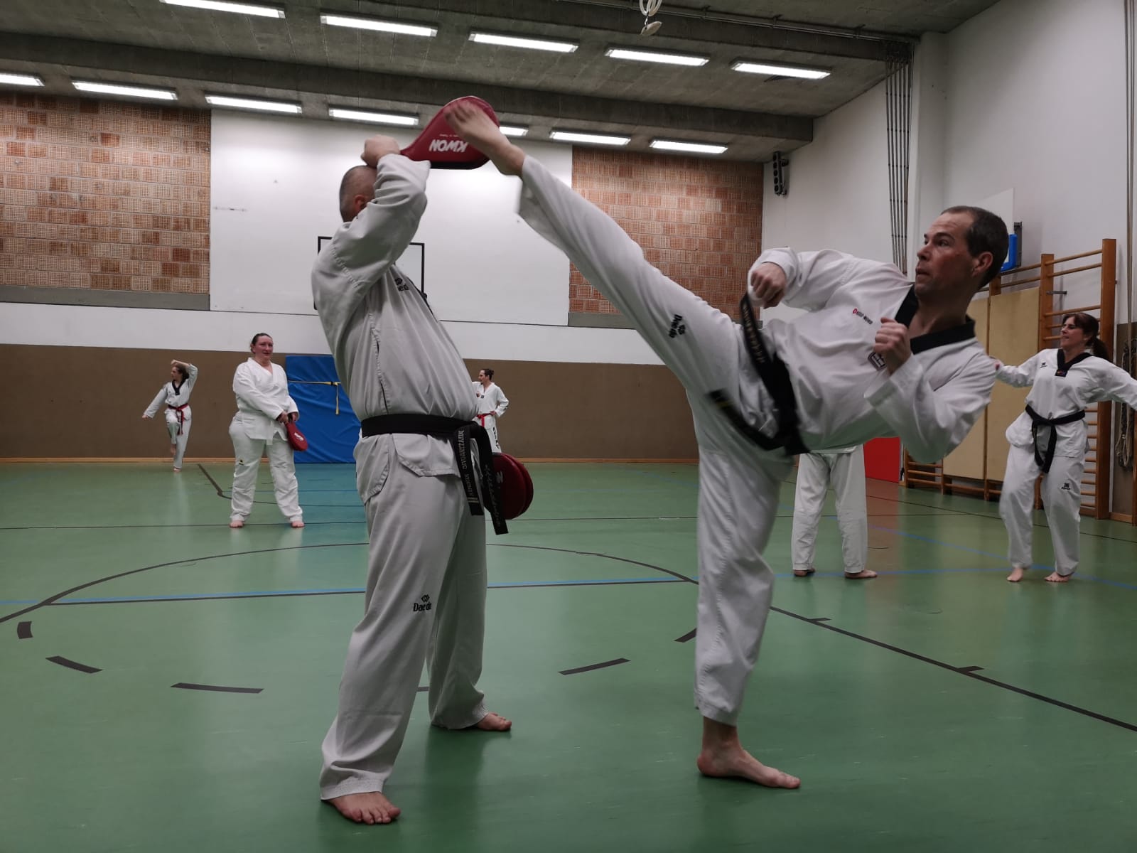 Taekwondo