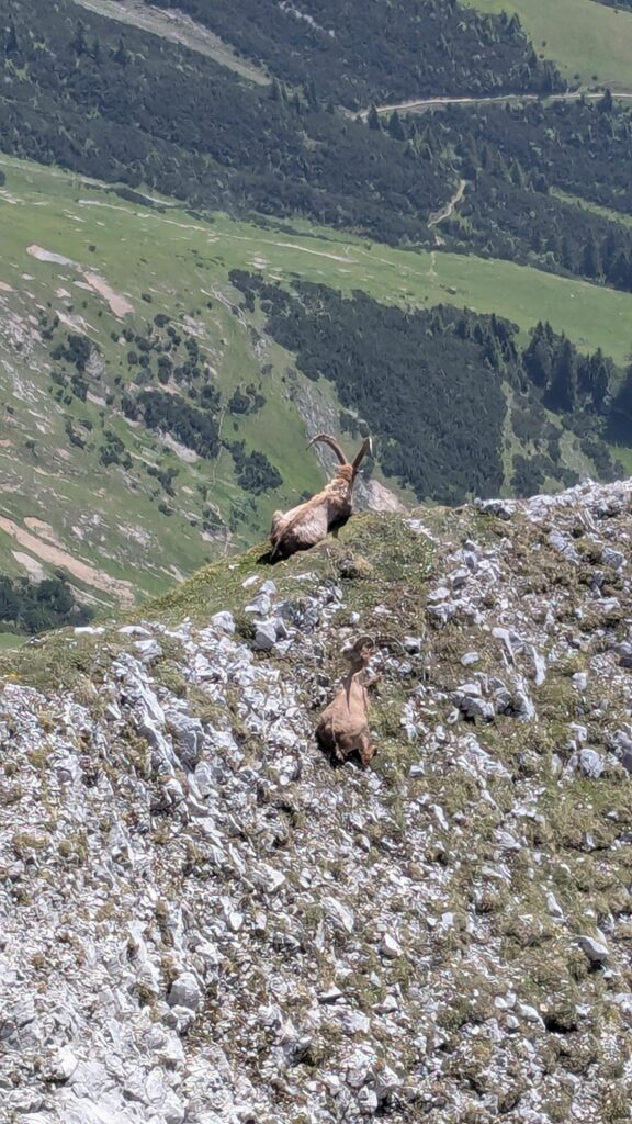 Brandjoch Südgrat