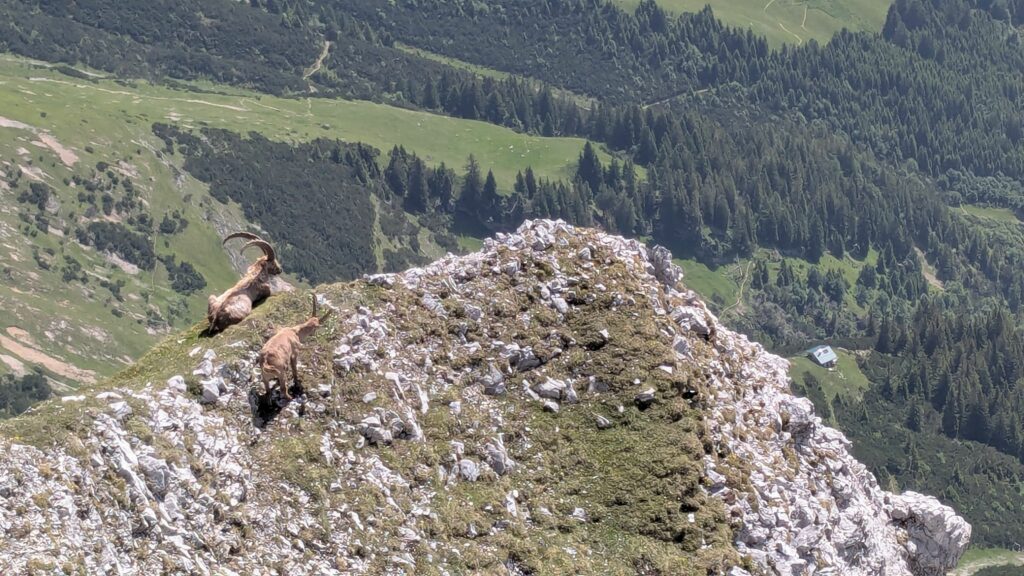 Brandjoch Südgrat