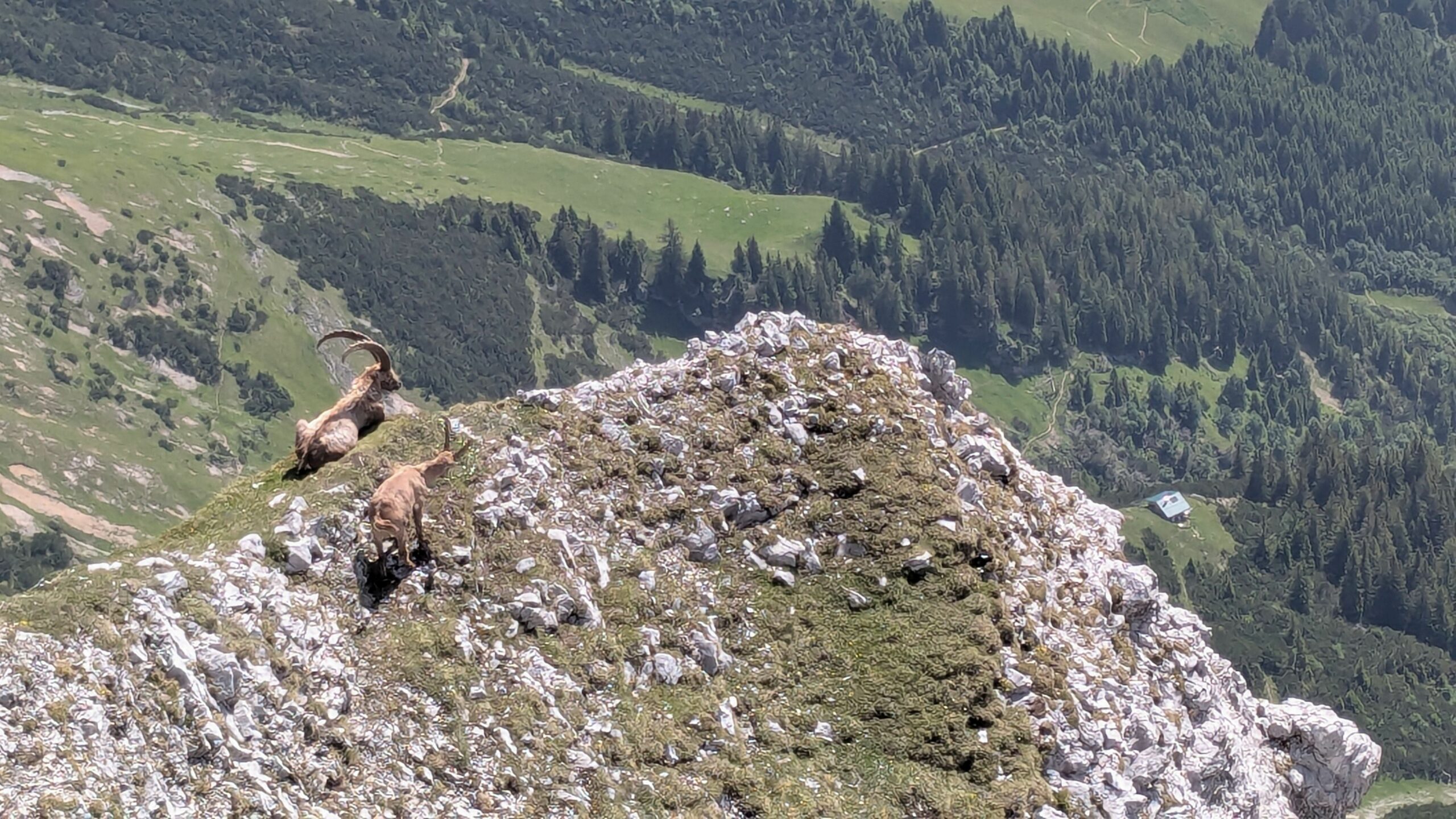Brandjoch Südgrat